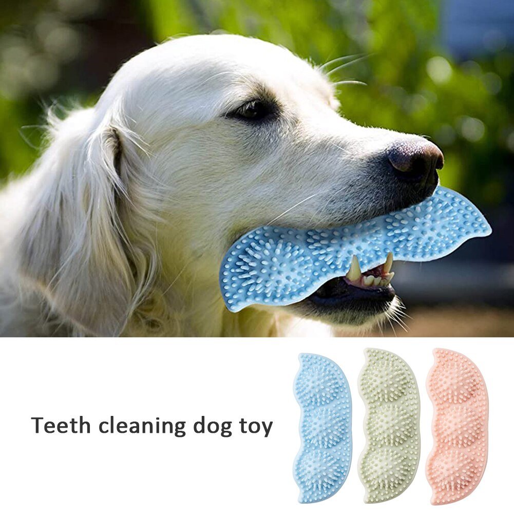 Pawsitive Chew Toy